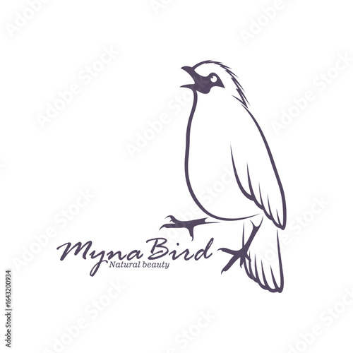 Bali Myna Bird logo design vector. Silhouette Myna Bird Template Illustration