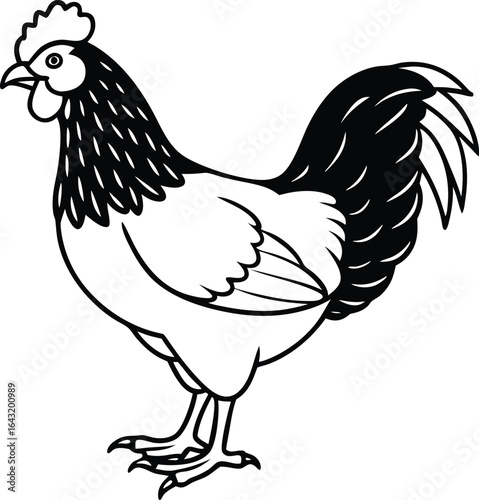 Cartoon white chicken, hen, or rooster fowl bird with red comb and wattle is a funny domestic farm animal illustration
