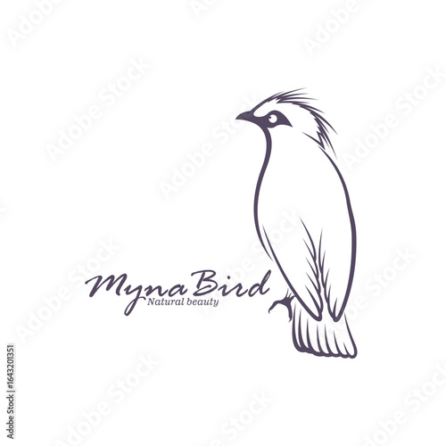 Bali Myna Bird logo design vector. Silhouette Myna Bird Template Illustration