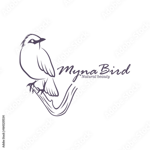 Bali Myna Bird logo design vector. Silhouette Myna Bird Template Illustration