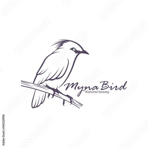 Bali Myna Bird logo design vector. Silhouette Myna Bird Template Illustration