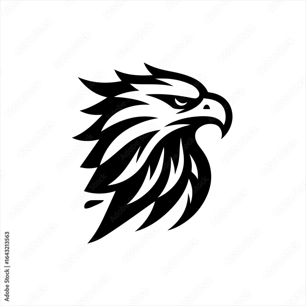 Fototapeta premium Stylized black and white eagle head logo design