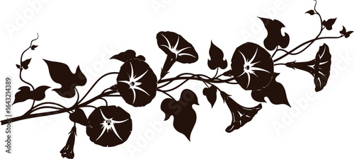 Morning Glory Silhouette Vector