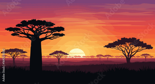 african savanna sunset dramatic silhouette of baobab and acacia trees for travel adventure and wildlife documentaries