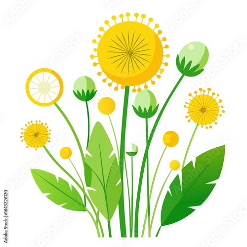 Stylized Vector Composition of Multiple Dandelions in Various Growth Stages on White Background