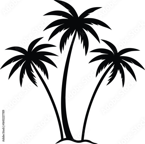 palm tree silhouettes