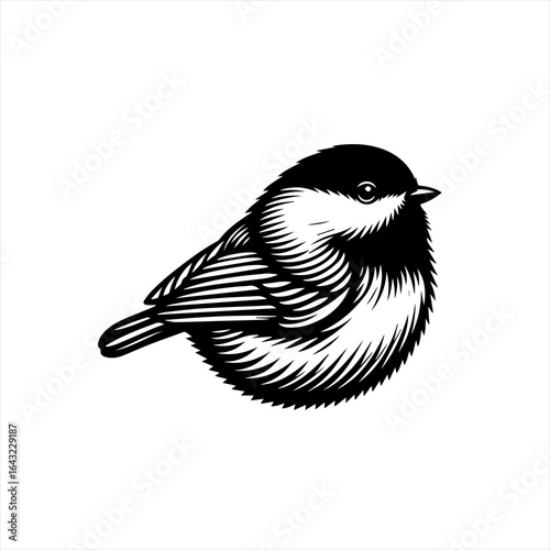 Black and white illustration of a chickadee bird