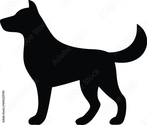 silhouette of a Dog