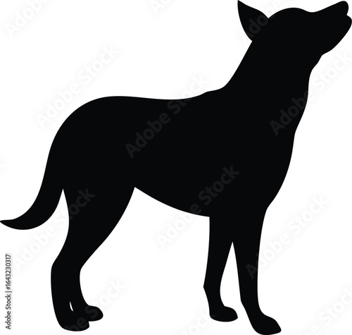 silhouette of a Dog