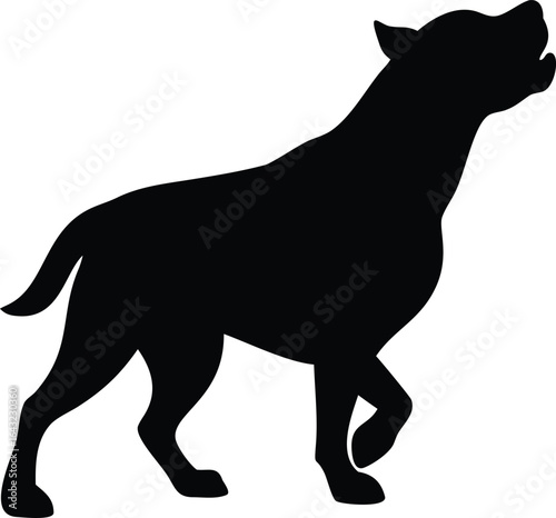 silhouette of a Dog