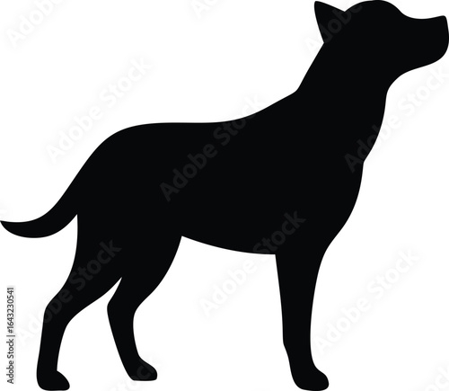 silhouette of a Dog