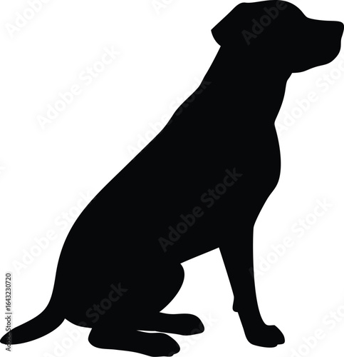 silhouette of a Dog