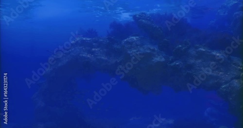 Wallpaper Mural Clear blue waters reveal rocky formations beneath the surface, home to diverse marine life. Sunlight filters through, illuminating the underwater ecosystem during the day. Torontodigital.ca