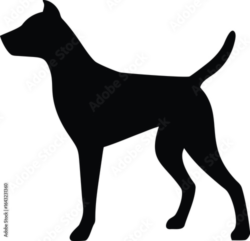 silhouette of a Dog