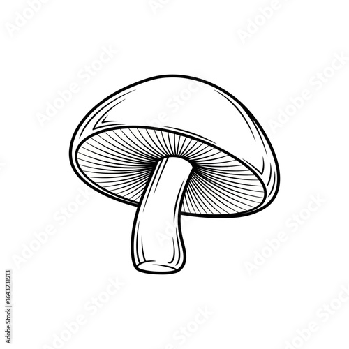 A single mushroom illustration featuring a cap and stem drawn in grayscale.