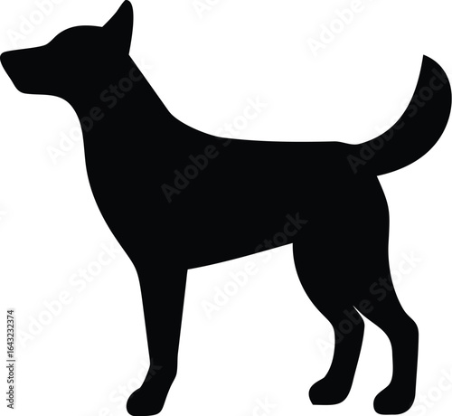 silhouette of a Dog