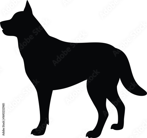 silhouette of a Dog