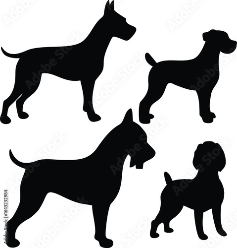 silhouette of a Dog