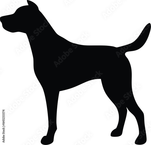 silhouette of a Dog