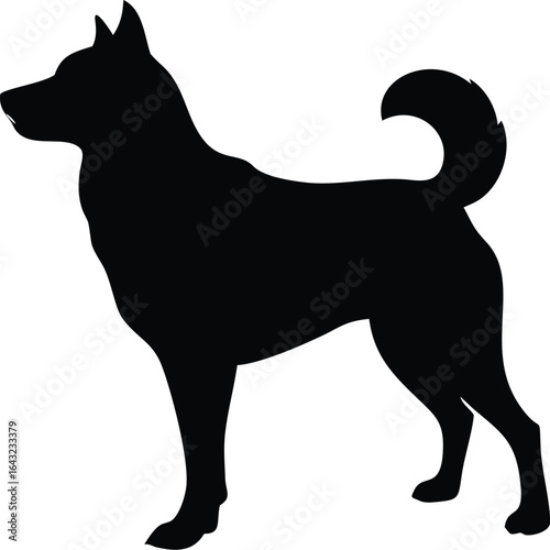 silhouette of a Dog