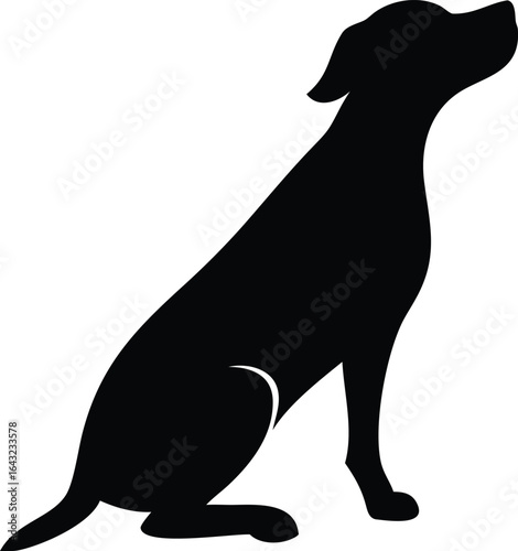 silhouette of a Dog