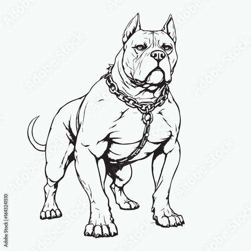 Pit bull dog illustration — black and white vector of muscular dog with chain leash, bold and fierce for branding or tattoos