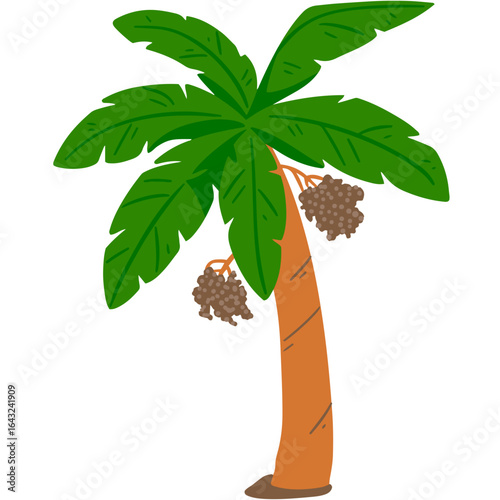 Vibrant tropical palm tree illustration, a symbol of summer concepts and exotic paradise, featuring lush green fronds and ripe coconuts, ideal for various design elements.
