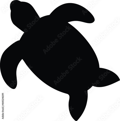 A vector illustration of a cartoon turtle, dolphin, and whale is shown in the blue ocean