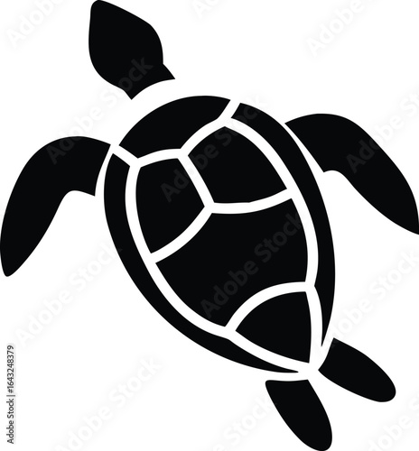 Cartoon illustration of a classic black and white soccer ball, ready for a fun game or championship competition