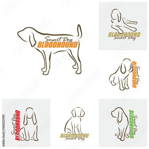 Set of Bloodhound Dog logo design vector. Silhouette Bloodhound Dog Template Illustration