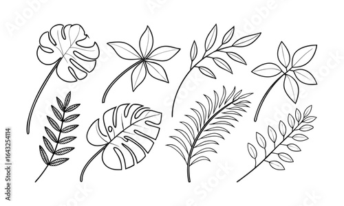 Minimalistic flat vector illustration line-art collection of various botanical leaves, tropical monstera, maple, fern, palm, clover, and simple foliage shapes, easily editable.