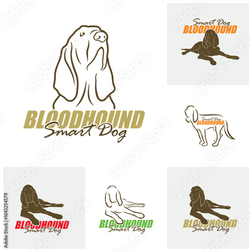 Set of Bloodhound Dog logo design vector. Silhouette Bloodhound Dog Template Illustration