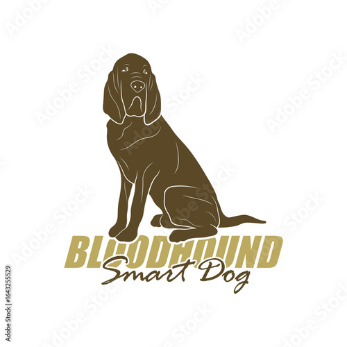 Bloodhound Dog logo design vector. Silhouette Bloodhound Dog Template Illustration
