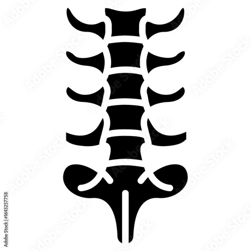 Vertebrae icon vector image. Can be used for Human Anatomy.