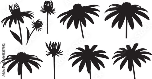 Tableau sur toile Rudbeckia Black-Eyed Susan Silhouette Vector Set