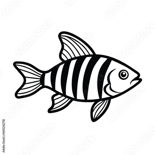  detailed vector outline of a zebra danio showing .eps