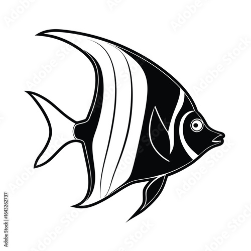 detailed vector outline of an angelfish showing f.eps
