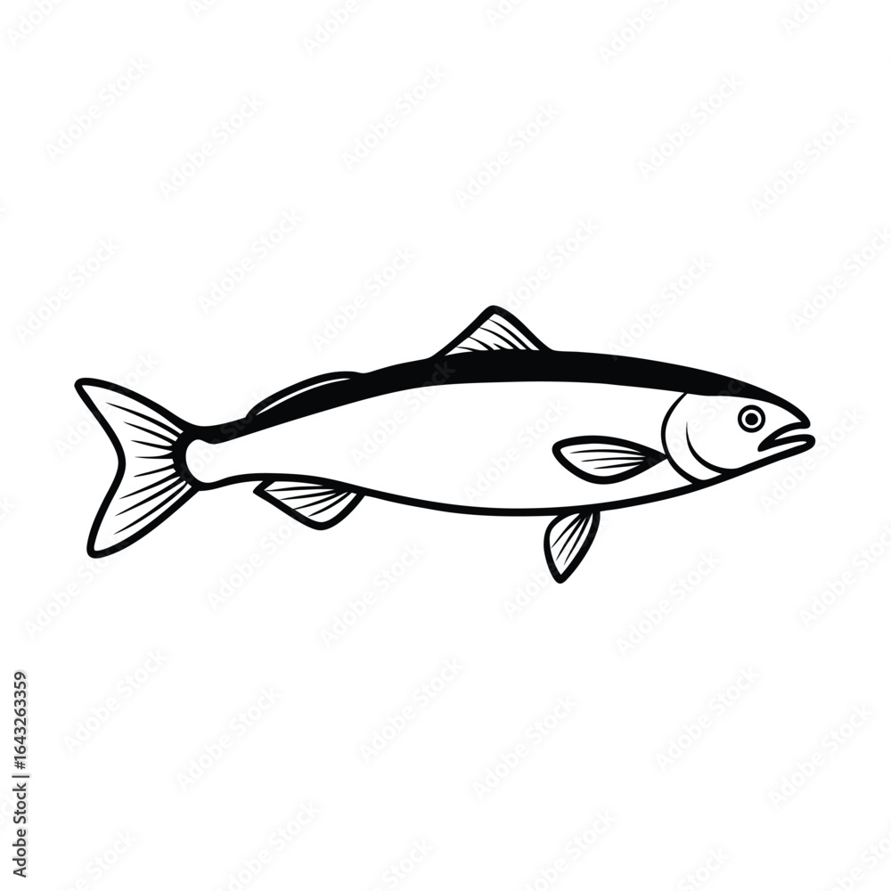 Fototapeta premium minimalist vector line art of a single arctic char.eps