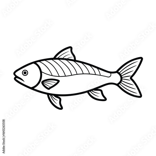 minimalist vector line art of a single grass carp .eps