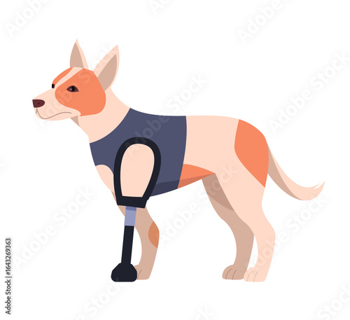 Dog with disability. Animal with prosthetic leg. Veterinary medicine, prosthetic of pet. Vector illustration.