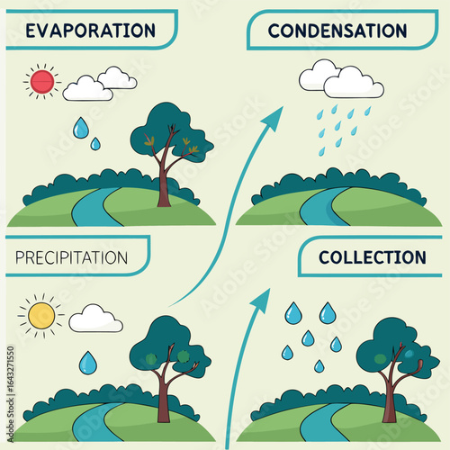 Simplified Water Cycle Diagram: An educational graphic illustrates the water cycle with its key stages, showing the continuous movement of water through evaporation, condensation, precipitation.