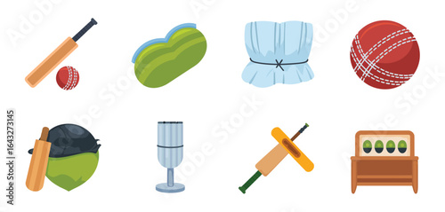 Collection of cricket equipment and accessories