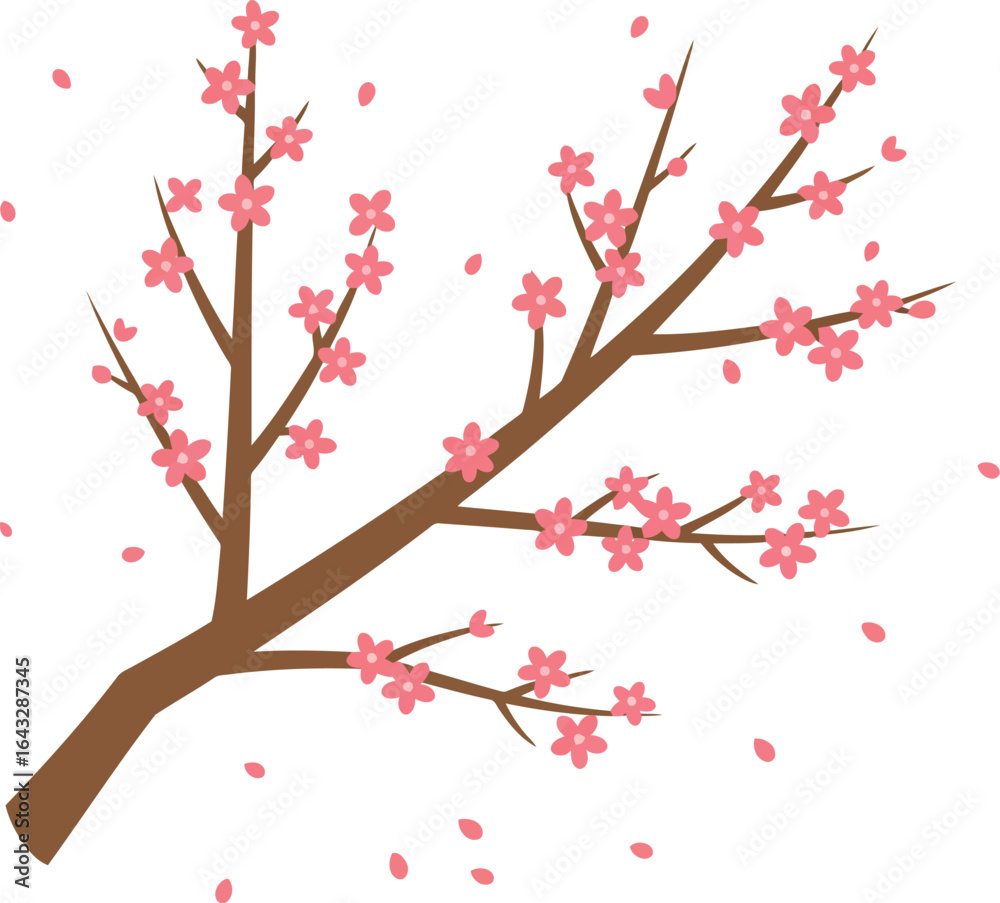 Fototapeta premium Pink cherry blossom branch falling petals spring