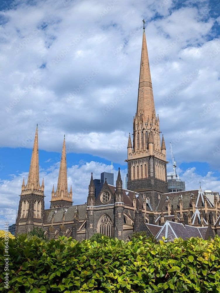 Obraz premium St. Patrick's Cathedral, Melbourne, Australia