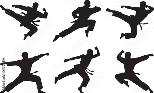 Martial artists performing dynamic combat poses karate arts