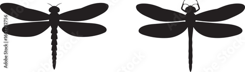 Two black dragonfly silhouettes with detailed segmented bodies and wings insect white