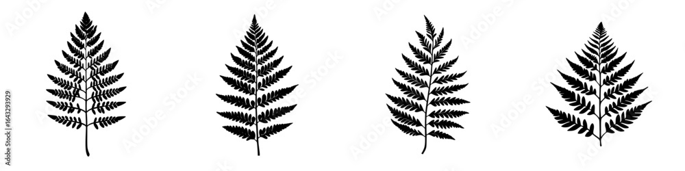 Intricate silhouettes of fern leaves arranged in a decorative pattern against a clean background