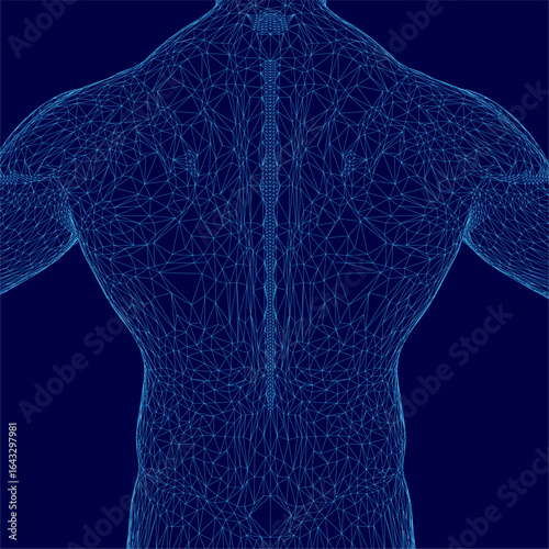A 3D wireframe of a male torso displays detailed human anatomy against a blue background. The skeletal and muscular structure is clearly visible, highlighting biological accuracy.