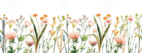 Wild Field flowers Watercolor frame illustration Botanical hand drawn garden plants. Seamless pattern border herbs and leaves for bouquets and natural elements for cards and invitation