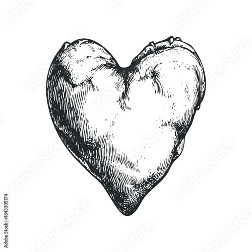 Vintage Ink Sketch of a Realistic Human Heart with Stylized Shading
